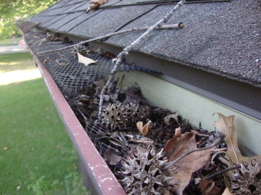 Okplobi_clogged roof